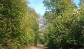 Tocht Stappen Comblain-au-Pont - oneux . comblain-la-tour . oneux - Photo 9