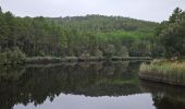 Tocht Stappen Pierrefeu-du-Var - Circuit dans les maures - Photo 3