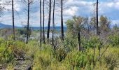 Trail Walking Le Cannet-des-Maures - lac des Escarcets et lac des auredes  - Photo 3