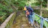 Tocht Stappen Divonne-les-Bains - Randonnée - Photo 10