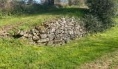 Randonnée Marche Gerpinnes - Premières jacinthes des bois  - Photo 10