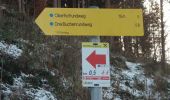 Randonnée A pied Goldegg - Drei-Buchenrundweg - Photo 6