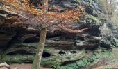 Tour Wandern Echternach - mullerthal e1 - Photo 19