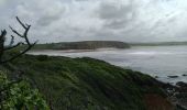 Tocht Stappen Camaret-sur-Mer - CAMARET  - Photo 13