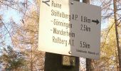 Trail On foot Reutlingen - Gönningen-Hochwiesen Pfullinger Berg - Photo 2