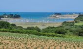 Randonnée Marche Plougasnou - Térénez-Barnenez - Photo 10