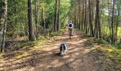 Tocht Mountainbike Brinon-sur-Sauldre - Sologne balade VTT domaine des bulles - Photo 3