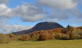Trail Walking Ceyssat - Ceyssat_Montmeyre - Photo 1