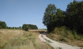Trail Walking Montlouis-sur-Loire - Montlouis-sur-Loire - Lussault-sur-Loire - 2016 08 14 - 12.5km 2h30mn - Photo 1