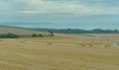 Tour Wandern Sangatte - CANI-RADO TOUR (boucle Cap Blanc nez) - Photo 4