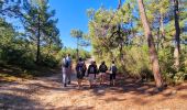 Tocht Stappen Barbâtre - jeun rando J1 Baratre - Photo 4