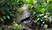 Excursión Senderismo Bouillante - Trou à Diable par la rivière Bourceau - Photo 6