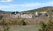 Randonnée Marche La Couvertoirade - autour de la Couvertoirade - Photo 5