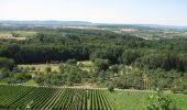 Trail On foot Ludwigsburg - DE-SAV Rotes Kreuz, Lemberg-Poppenweiler - Photo 5