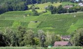 Percorso A piedi Stäfa - Stäfa. Ein Dorf bewegt: Mutzmalen - Lattenberg - Photo 5