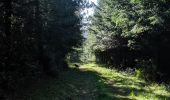 Tocht Trail Arfons - rando cheval - Photo 6