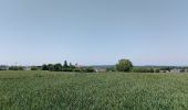 Percorso Marcia Coulombs-en-Valois - le Clignon - Photo 1