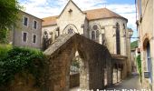 Randonnée Voiture Montricoux - Les Bastides Albigeoises-Puycelsi-Castelnau-St Antonin - Photo 2