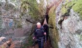Trail Walking Fontainebleau - Un merle sur son mont - Photo 5