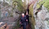 Tocht Stappen Fontainebleau - Un merle sur son mont - Photo 5