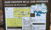 Randonnée Marche Monteneuf - Monteneuf  - Photo 10