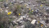 Tocht Stappen Nîmes - Clos Gaillard  - Photo 9