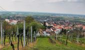 Tocht Te voet Hirschberg an der Bergstraße - Waldlehrpfad Hirschberg - Photo 9