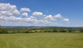 Trail Walking Dossenheim-sur-Zinsel - Le Bastberg depuis Dossenheim-sur-Zinsel - Photo 17