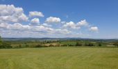 Tour Wandern Dossenheim - Le Bastberg depuis Dossenheim-sur-Zinsel - Photo 17