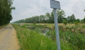 Tour Zu Fuß Lübben (Spreewald) - Wanderweg Radensdorf-Polenzschenke-Burg - Photo 2