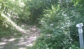 Trail Walking Sentheim - Sentheim Buchberg - Photo 1