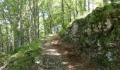 Trail Walking Saint-Gervais - Les Écouges - Pas de Pierre Taillée - Photo 5