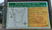 Percorso Marcia Saint-Guilhem-le-Désert - arsel de st guilhem le désert au cirque de l infernet - Photo 3
