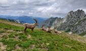 Trail Walking La Chapelle-d'Abondance - CORNETTES DE BISE: LAC DE DARBON - Photo 12