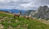 Randonnée Marche La Chapelle-d'Abondance - CORNETTES DE BISE: LAC DE DARBON - Photo 12