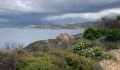 Trail Walking Calvi - Revellata  - Photo 9