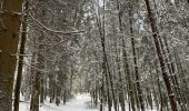 Tocht Noords wandelen Habscht - Eischen - Septfontaines - Photo 6