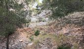 Tour Wandern Toulon - Le Faron-13-04-22 - Photo 3