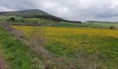 Trail Walking Le Puy-en-Velay - [01] Compostelle : du Puy-en-Velay à Saint-Privat-d'Allier - Photo 16