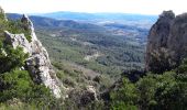 Trail Walking Cuers - Barres de Cuers  - Photo 18