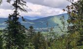 Tour Wandern Villard-de-Lans - Villard de Lans - les clots - bergerie de la fauge  - refuge - clos du four - fontaine magdelen- retour parking des clots - Photo 4