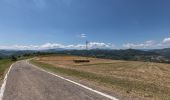 Tour Zu Fuß Canossa - Vedriano - La Strada - M. Staffola - Braglie - Costa - Photo 4