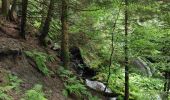 Tour Wandern Mont-Dore - grande cascade du Mont-Dore - Photo 1