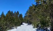 Trail Walking Pont de Montvert - Sud Mont Lozère - Le Pic Cassini - Photo 5