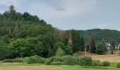 Tocht Wegfiets Rohrbach-lès-Bitche - EXT65 Rohrbach-les-Bitche-01 - Photo 1