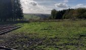 Randonnée Marche Houffalize - Engreux 021122 - Photo 8