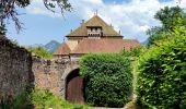 Tour Wandern Duingt - Boucle du Taillefer - Photo 2