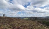 Tour Wandern Wellin - rando wellin 23/02/2021 - Photo 13