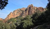Trail Walking Saint-Raphaël - Pic du cap roux - Photo 12
