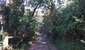 Trail Walking Connac - Boucle Connac Lincou - Photo 18
